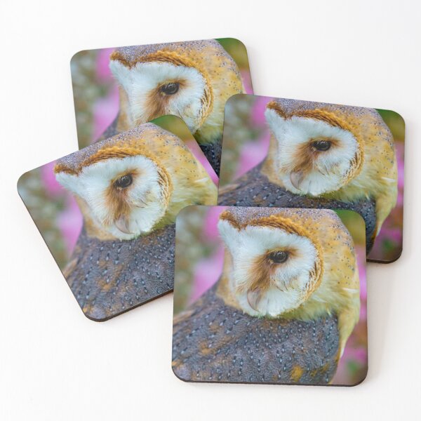 Item preview, Shy European Barn Owl designed and sold by Dalyndigital Photography.