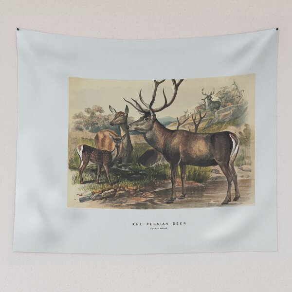 Item preview, Zoological sketches by Joseph Wolf 1861 to 1867 062 The Persian Deer designed and sold by WetdryvacRB01.