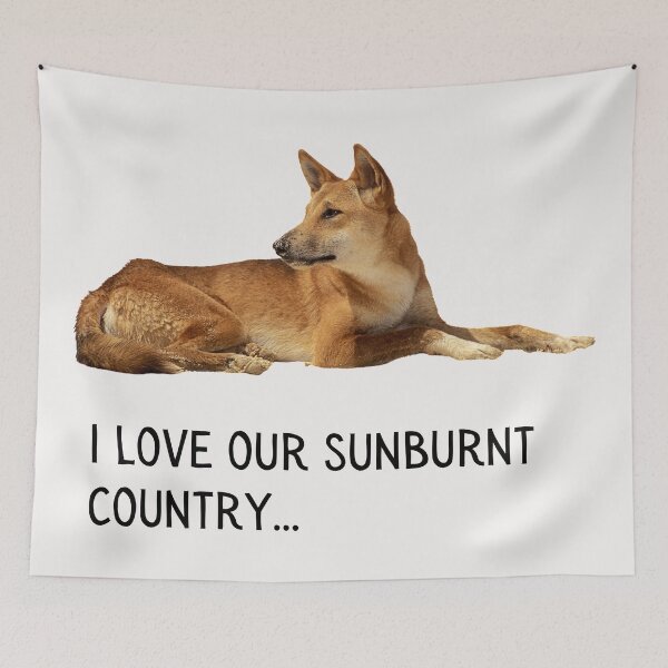 Item preview, I Iove our sunburnt country. Photograph of a dingo, lazing in the sun, and black text. designed and sold by JellyBeenzz.