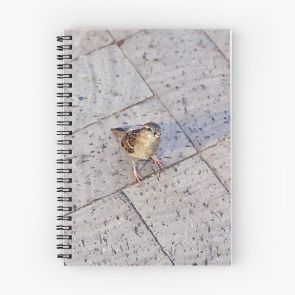 Item preview, Itty Bitty Boston Birdie designed and sold by RIARTS.