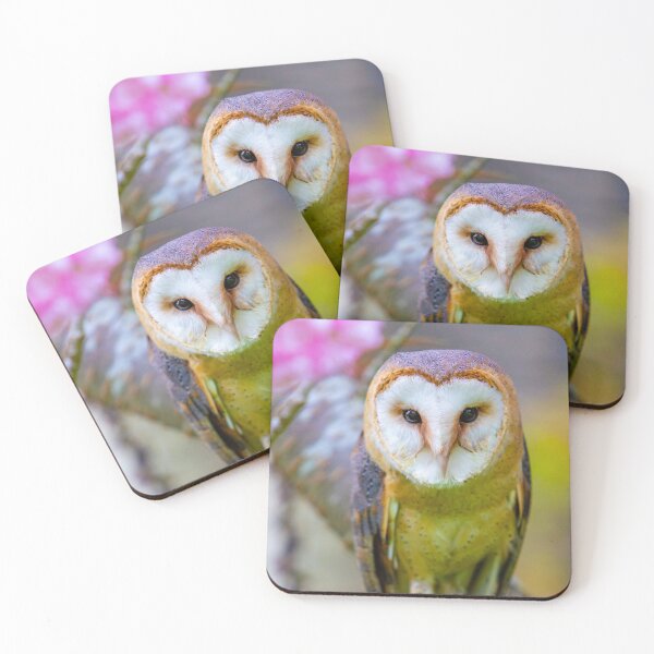 Item preview, European Barn owl in a cherry tree designed and sold by Dalyndigital Photography.