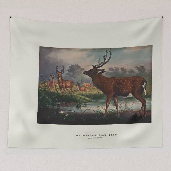 Item preview, Zoological sketches by Joseph Wolf 1861 to 1867 063 The Mantchurian Deer designed and sold by WetdryvacRB01.