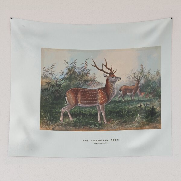 Item preview, Zoological sketches by Joseph Wolf 1861 to 1867 064 The Formosan Deer designed and sold by WetdryvacRB01.