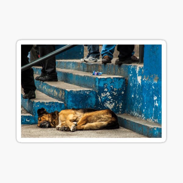 Item preview, A Quiet Step designed and sold by photograham.