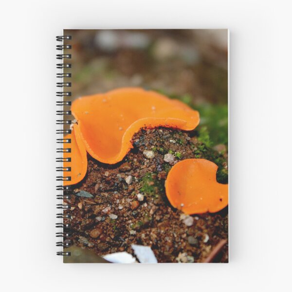 Item preview, Orange Peel Fungus designed and sold by Kathleen Daley.