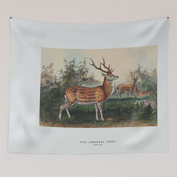 Item preview, Zoological sketches by Joseph Wolf 1861 to 1867 065 The Japanese Deer designed and sold by WetdryvacRB01.