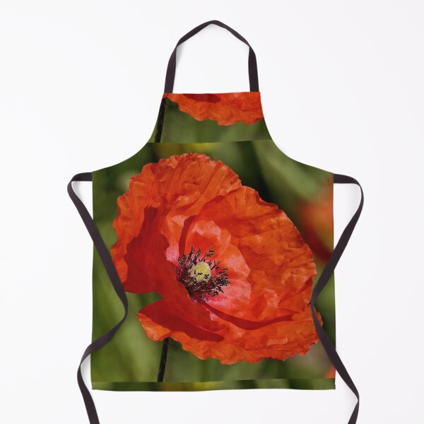 Item preview, r 2591/ 13 " un Coquelicot en direction de l'Espace " à l'écoute de Coquelicots Extraterrestres ! a Poppy in the direction of Space "listening to Extraterrestrial Poppies! " par Okaio Créations designed and sold by o.okaïo.
