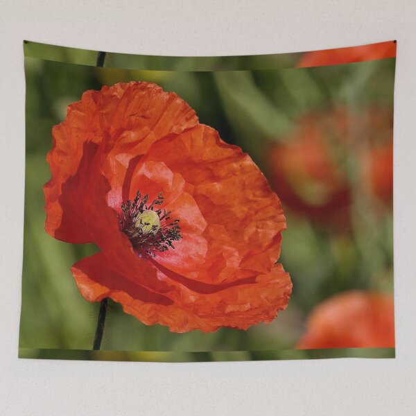 Item preview, r 2591/ 13 " un Coquelicot en direction de  l'Espace " à l'écoute de Coquelicots Extraterrestres ! a Poppy in the direction of Space "listening to Extraterrestrial Poppies! " par Okaio Créations  designed and sold by o.okaïo.