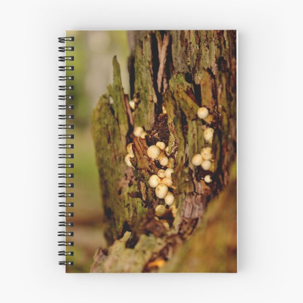 Item preview, Popping Out of the Woodwork designed and sold by Kathleen Daley.