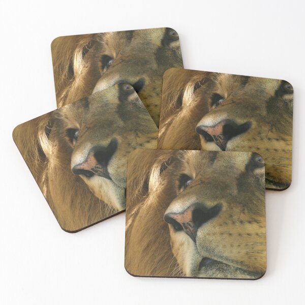 Item preview, Lion head close-up designed and sold by Melissa Peltenburg.