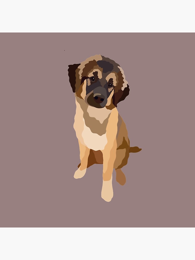 Anatolian lab mix puppies cheap