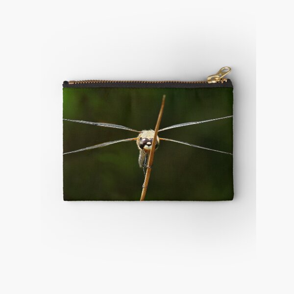 Item preview, Frontal view of a flat-bellied dragonfly designed and sold by NW-Photo-Art.