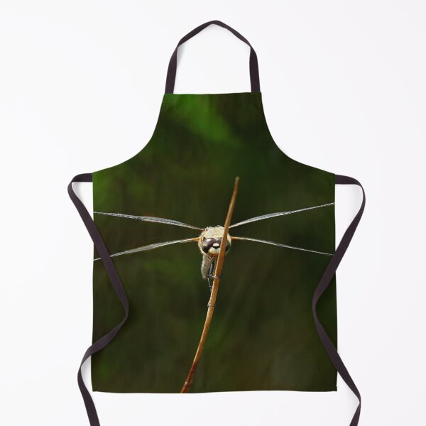 Item preview, Frontal view of a flat-bellied dragonfly designed and sold by NW-Photo-Art.