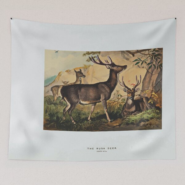 Item preview, Zoological sketches by Joseph Wolf 1861 to 1867 066 The Rusa Deer designed and sold by WetdryvacRB01.