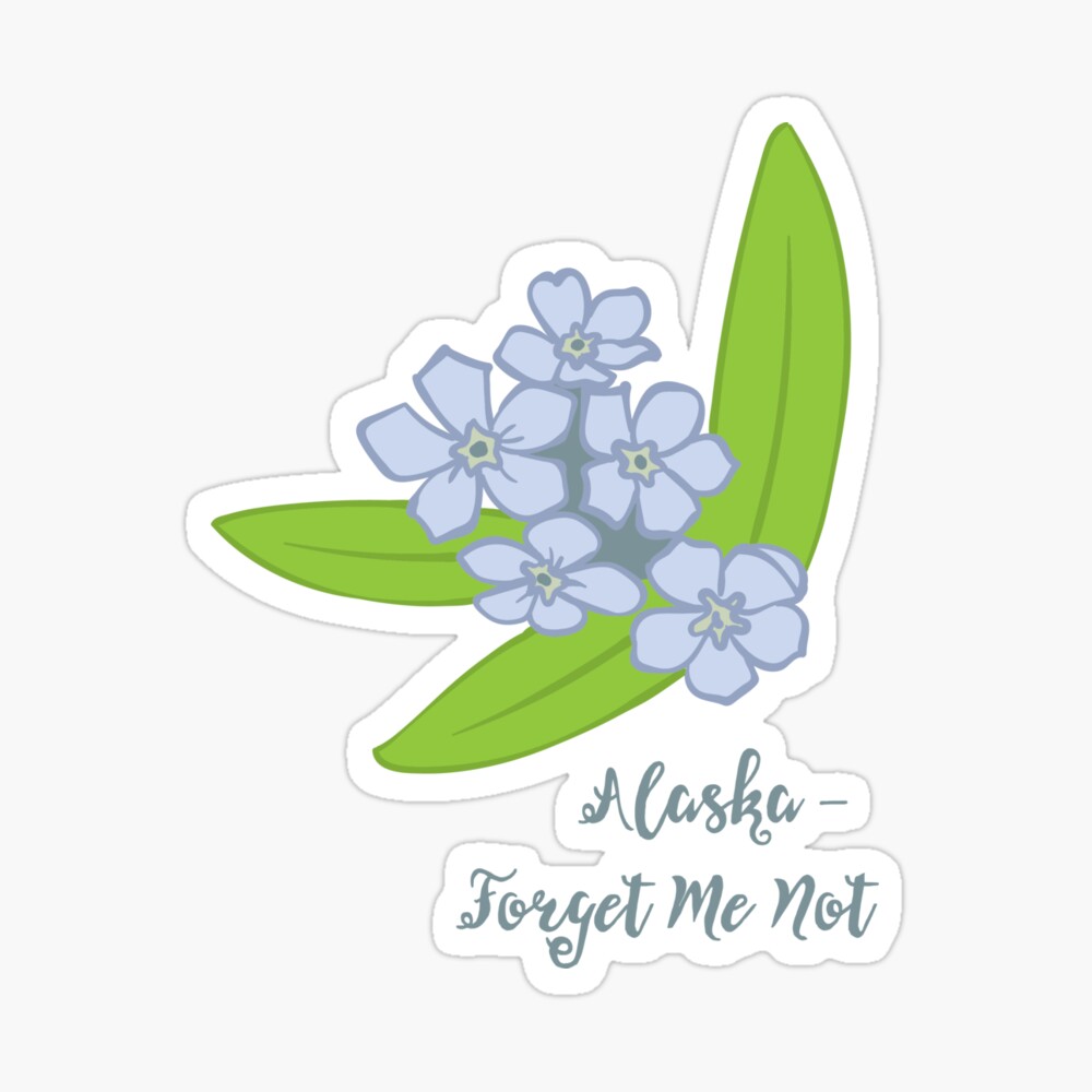 Póster «Flor Nacional de Alaska - No me olvides» de choisanezine | Redbubble