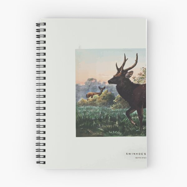 Artikelvorschau, Zoologische Skizzen von Joseph Wolf 1861 bis 1867 067 Swinhoe's Deer entworfen und verkauft von WetdryvacRB01.