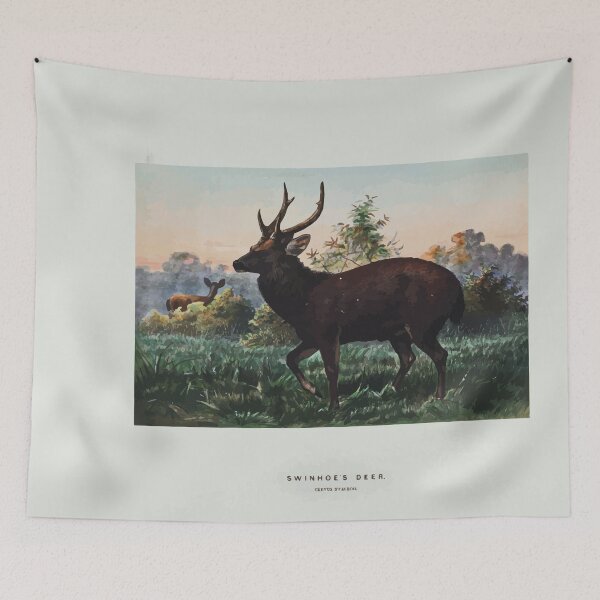 Item preview, Zoological sketches by Joseph Wolf 1861 to 1867 067 Swinhoe's Deer designed and sold by WetdryvacRB01.