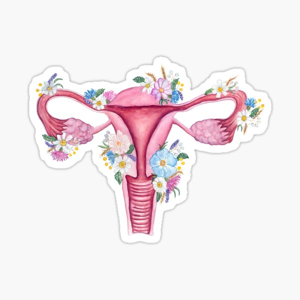 Floral Uterus Anatomy: Anatomical Art, Watercolor Feminist Women Doctor Gift Sticker