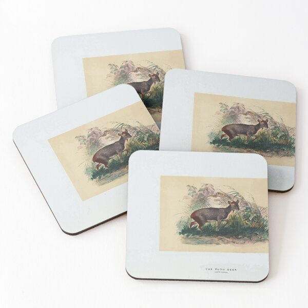 Item preview, Zoological sketches by Joseph Wolf 1861 to 1867 068 The Pudu Deer designed and sold by WetdryvacRB01.