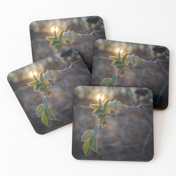 Item preview, frost on leaf at sunset designed and sold by connyM-Sweden.