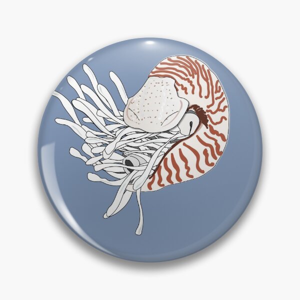 Item preview, Nautilus nautilus mollusk with tentacles and shell designed and sold by NatureNature.