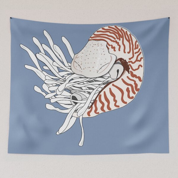 Item preview, Nautilus nautilus mollusk with tentacles and shell designed and sold by NatureNature.
