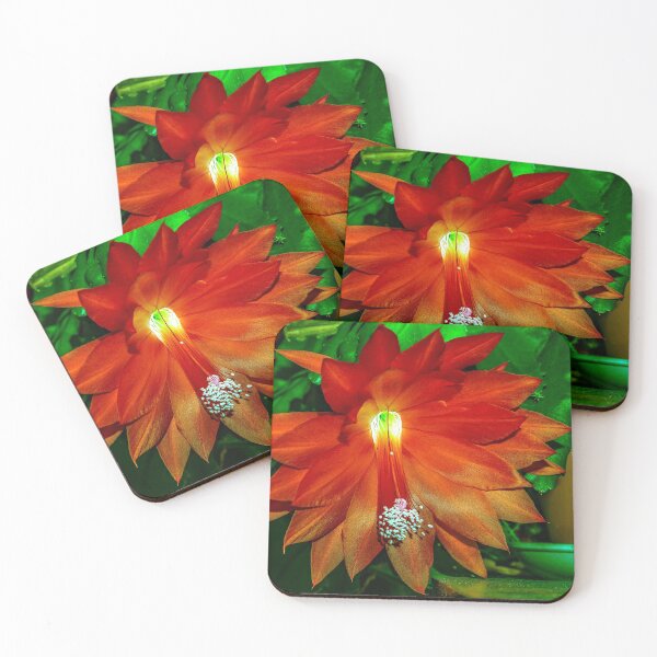 Item preview, Christmas?  No, Orchid Cactus! designed and sold by Bryan Spellman.