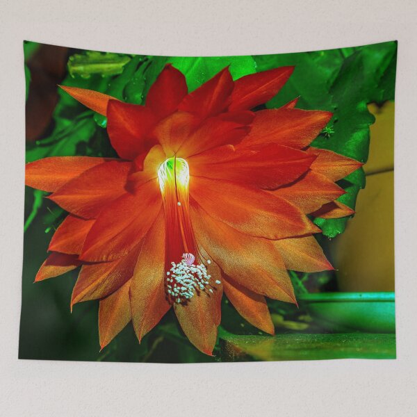 Item preview, Christmas?  No, Orchid Cactus! designed and sold by Bryan Spellman.