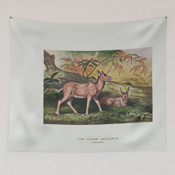 Item preview, Zoological sketches by Joseph Wolf 1861 to 1867 069 The Young Leucoryx designed and sold by WetdryvacRB01.