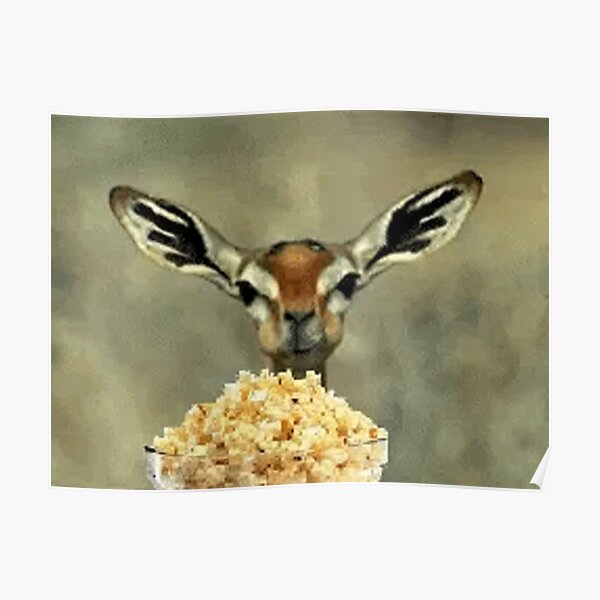 "Deer eating popcorn meme" Poster by mikejak Redbubble