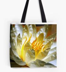 White waterlily (Nymphaea odorata rosea) Tote Bag