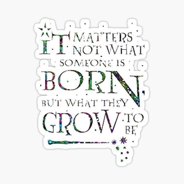 It Matters Not What Someone Is Born Sticker