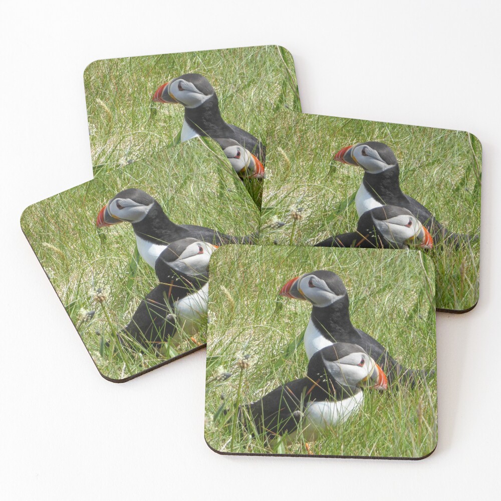 Item preview, Coasters (Set of 4) designed and sold by davecurrie.