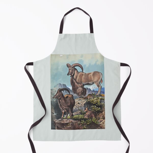 Item preview, Zoological sketches by Joseph Wolf 1861 to 1867 071 The Aoudad designed and sold by WetdryvacRB01.