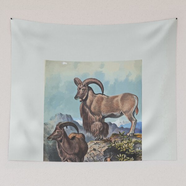 Item preview, Zoological sketches by Joseph Wolf 1861 to 1867 071 The Aoudad designed and sold by WetdryvacRB01.