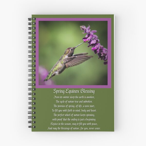 Item preview, Spring Equinox Blessing with Hummingbird and Bug designed and sold by Stephanie Laird.