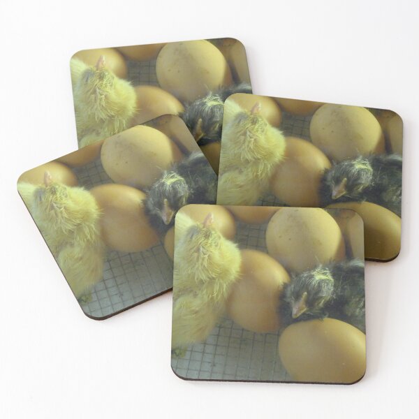 Item preview, New Born Chicks designed and sold by Ruth Curtis.
