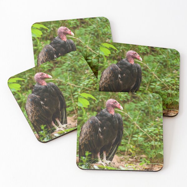 Item preview, Turkey Volker  designed and sold by Ruth Curtis.