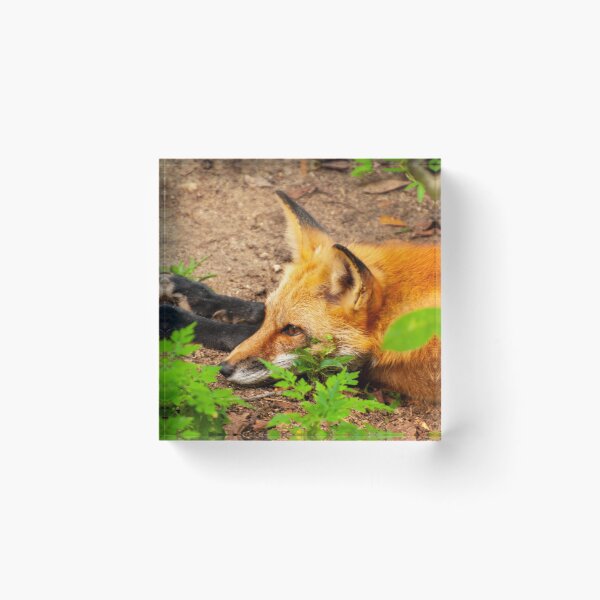 Item preview, Guarding the Post designed and sold by Ruth Curtis.