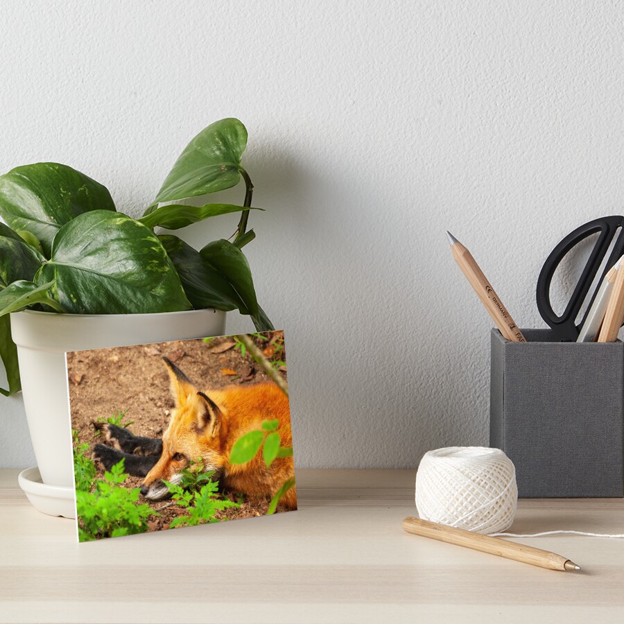 Item preview, Art Board Print designed and sold by Ruthie33.