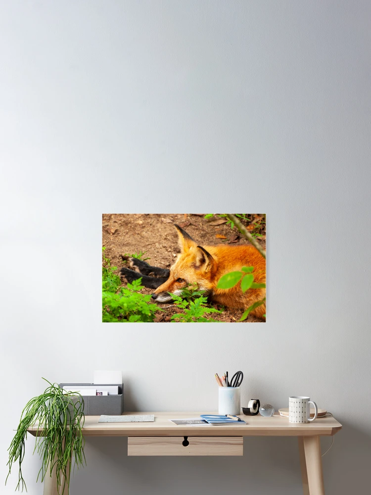 Thumbnail 2 of 3, Poster, Guarding the Post designed and sold by Ruth Curtis.
