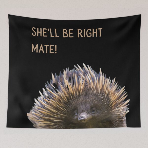 Item preview, She'll be right mate. Photograph of an echidna and light colour text. designed and sold by JellyBeenzz.