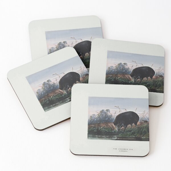 Item preview, Zoological sketches by Joseph Wolf 1861 to 1867 072 The Andaman Pig designed and sold by WetdryvacRB01.