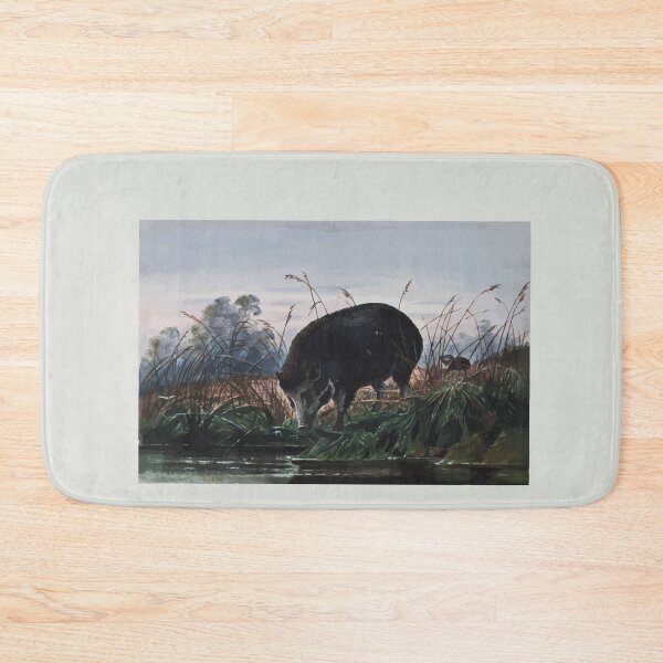 Item preview, Zoological sketches by Joseph Wolf 1861 to 1867 072 The Andaman Pig designed and sold by WetdryvacRB01.