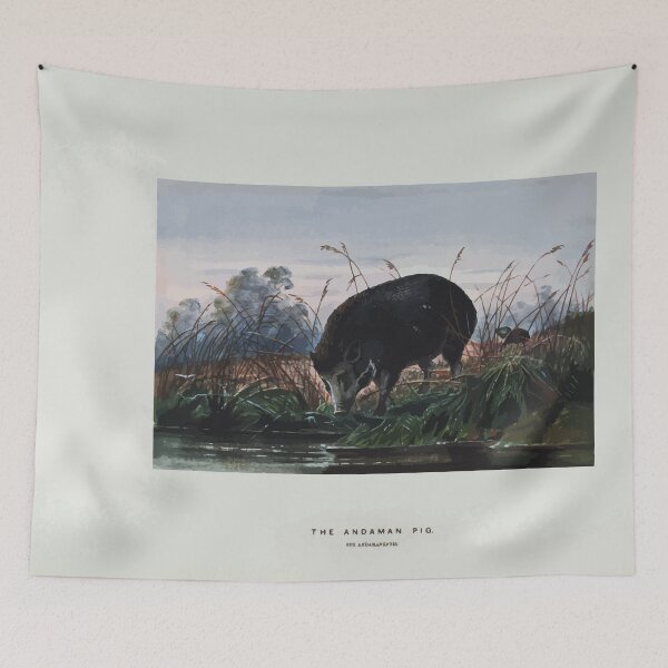 Item preview, Zoological sketches by Joseph Wolf 1861 to 1867 072 The Andaman Pig designed and sold by WetdryvacRB01.