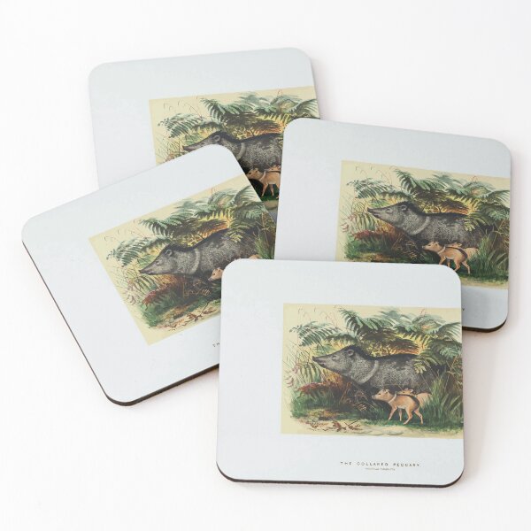 Item preview, Zoological sketches by Joseph Wolf 1861 to 1867 073 The Collard Peccary designed and sold by WetdryvacRB01.