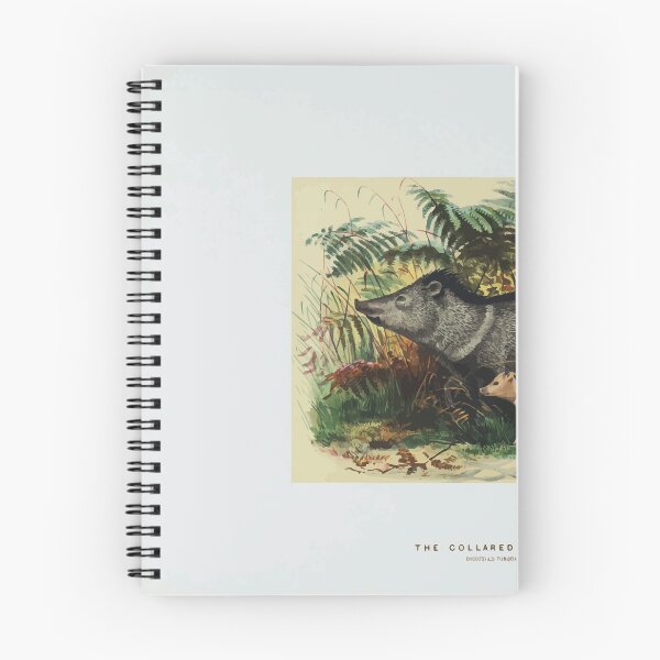 Item preview, Zoological sketches by Joseph Wolf 1861 to 1867 073 The Collard Peccary designed and sold by WetdryvacRB01.