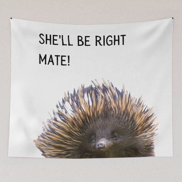 Item preview, She'll be right mate. Photograph of an echidna and black text. designed and sold by JellyBeenzz.