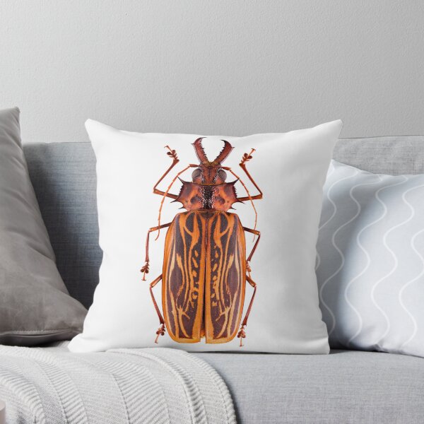 Item preview, Saber-tooth Longhorn beetle (Macrodontia cervicornis) designed and sold by Tim Christensen.