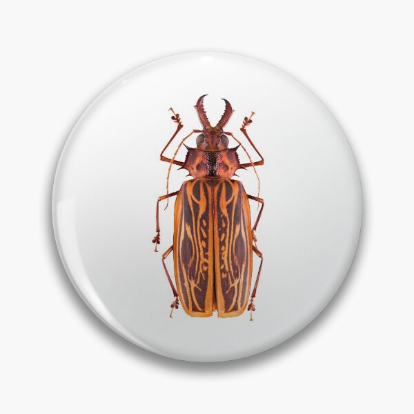 Item preview, Saber-tooth Longhorn beetle (Macrodontia cervicornis) designed and sold by Tim Christensen.